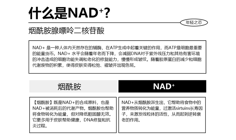 NAD+配方案例,合作案例,康容实业官网-次抛化妆品引领者