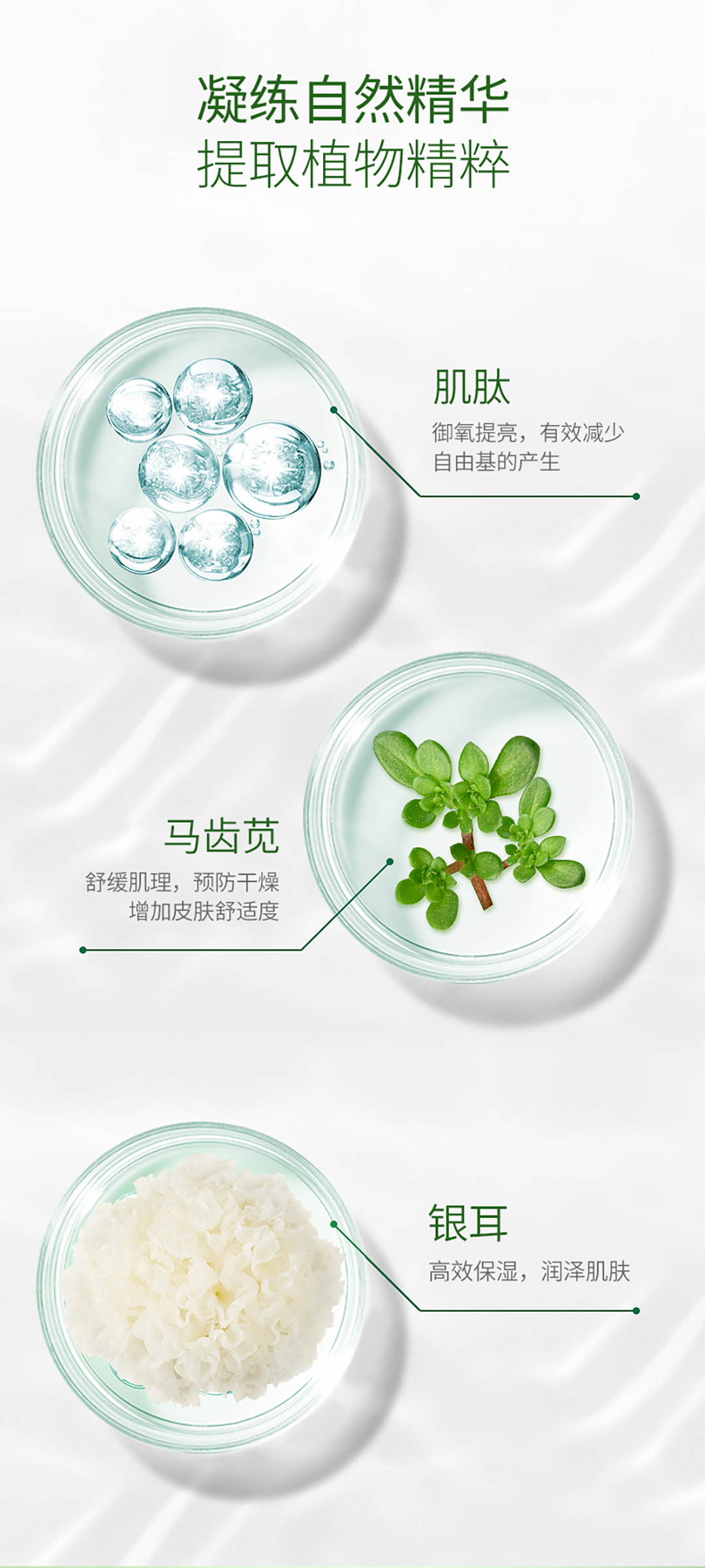 苹果紧致次抛_08.jpg